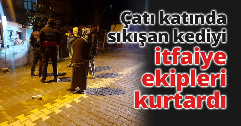 Çatı katında sıkışan kediyi itfaiye ekipleri kurtardı