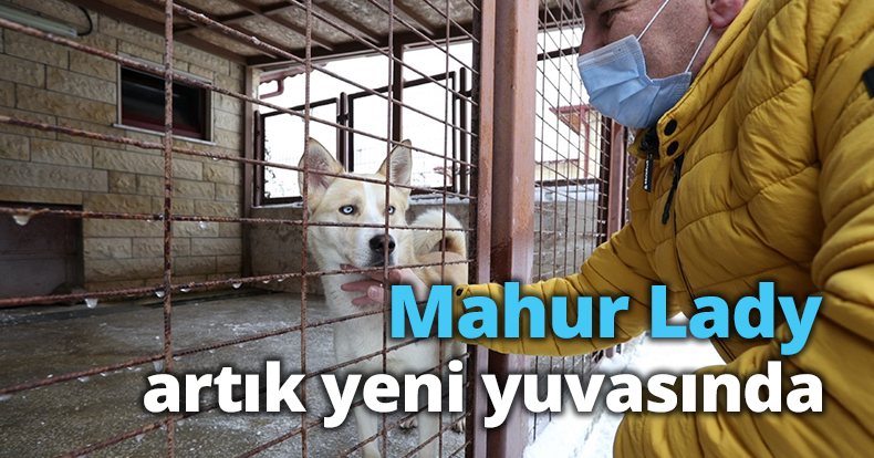 Mahur Lady artık yeni yuvasında