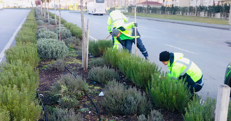 Körfez’de yeşil alanlara bakım çalışması