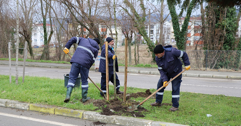 Ağaçlandırma Gölcük İpek Yolunda devam ediyor