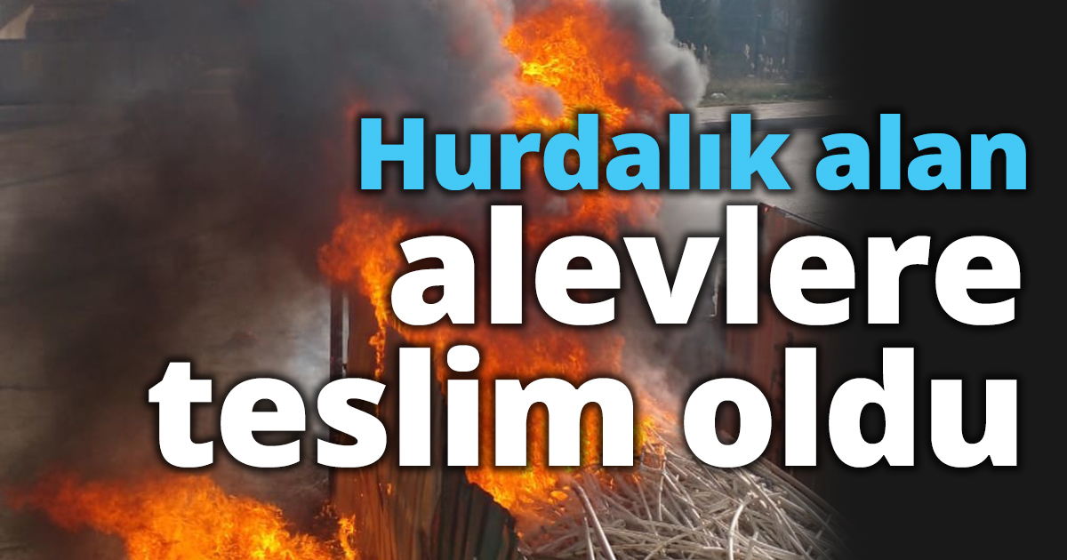 Hurdalık alan alevlere teslim oldu