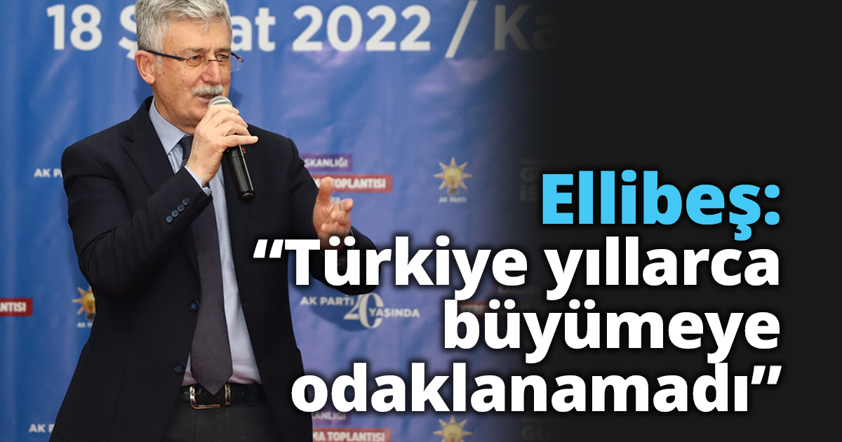 Ellibeş: “Türkiye yıllarca  büyümeye odaklanamadı”