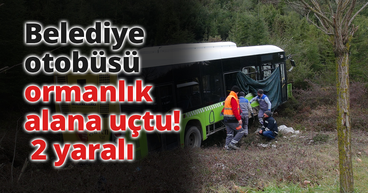 Belediye otobüsü ormanlık alana uçtu: 2 yaralı