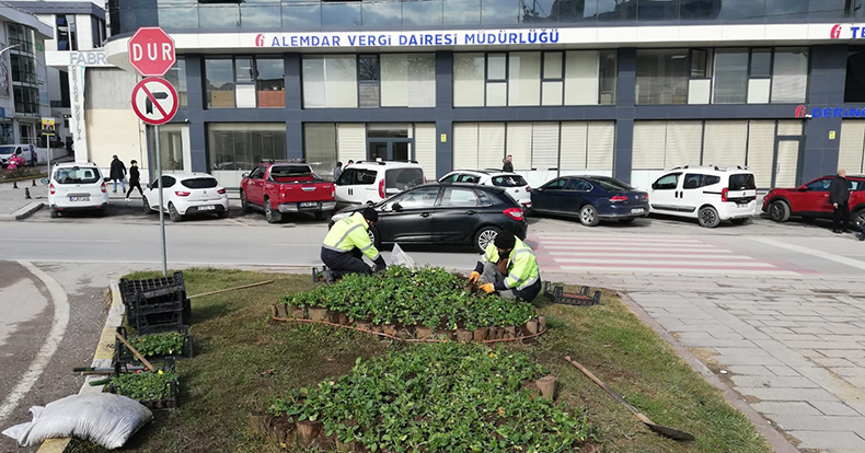 Derince’de Peyzaj Çalışmaları