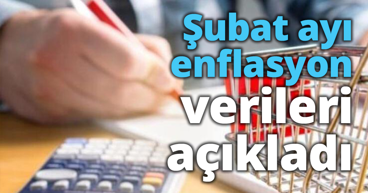 TÜİK, şubat ayı enflasyon verilerini açıkladı
