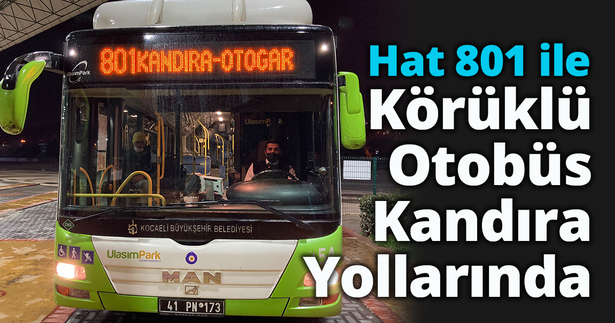 Hat 801 ile Körüklü Otobüs Kandıra Yollarında