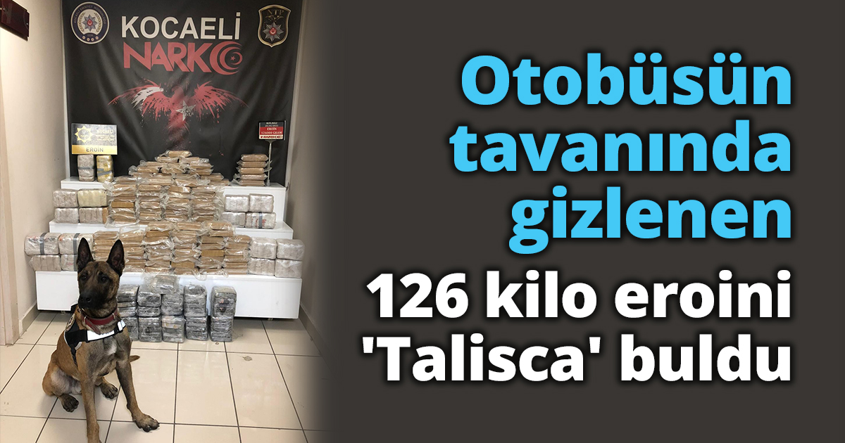 Otobüsün tavanında gizlenen 126 kilo eroini 'Talisca' buldu