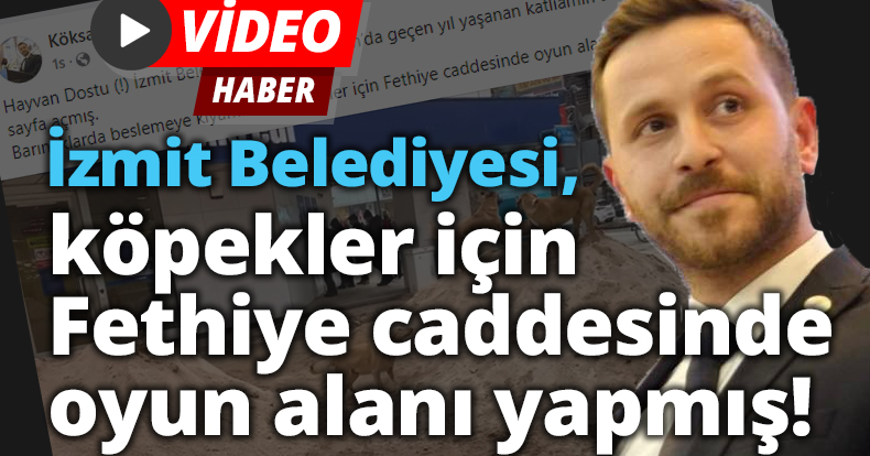 İzmit Belediyesi, köpekler için Fethiye caddesinde oyun alanı yapmış!