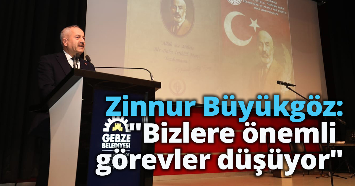 Zinnur Büyükgöz: 