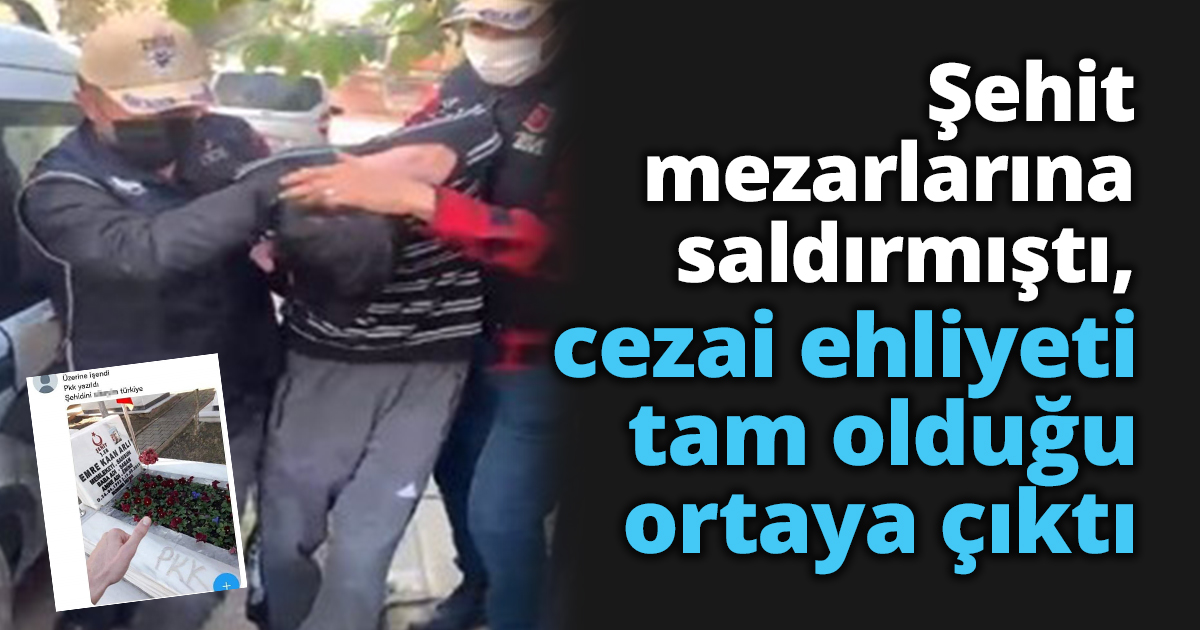Şehit mezarlarına saldırmıştı, cezai ehliyeti tam olduğu ortaya çıktı