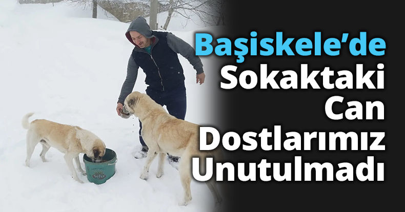 Başiskele’de Sokaktaki Can Dostlarımız Unutulmadı