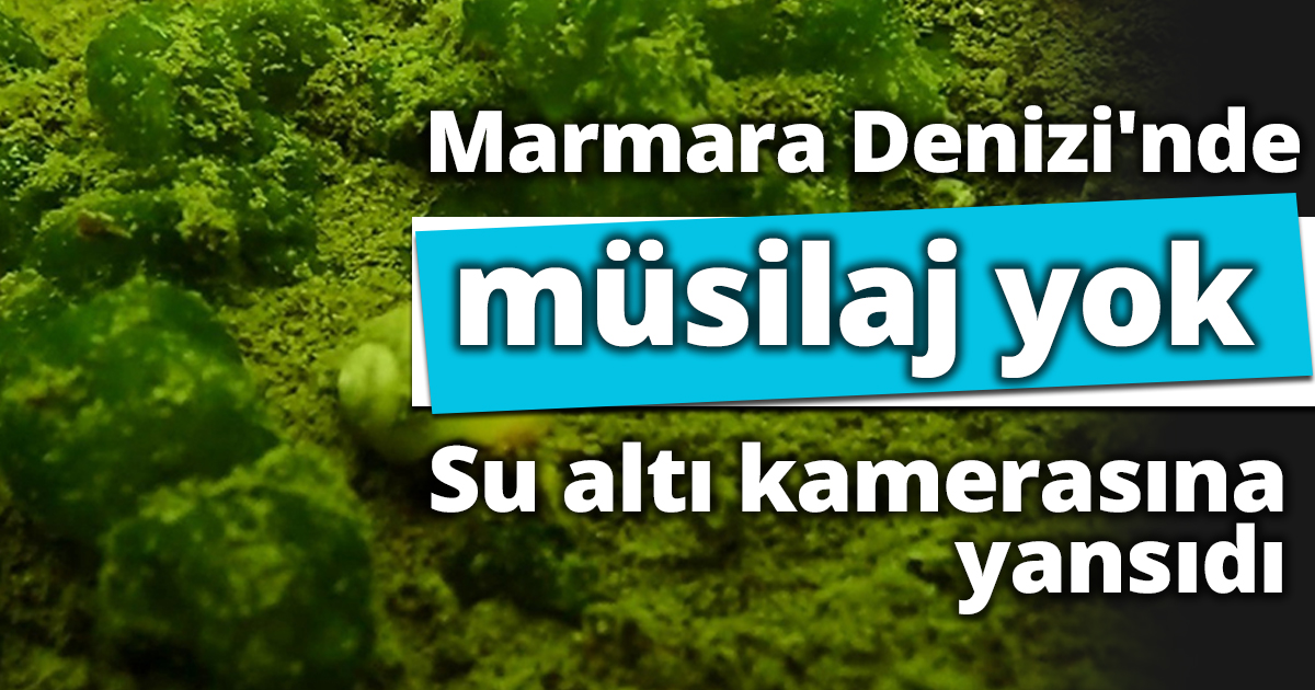 Marmara Denizi'nde müsilaj yok: Su altı kamerasına yansıdı