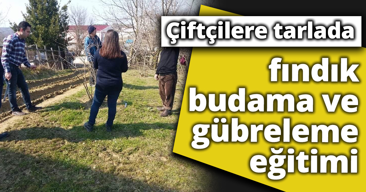 Çiftçilere tarlada fındık budama ve gübreleme eğitimi
