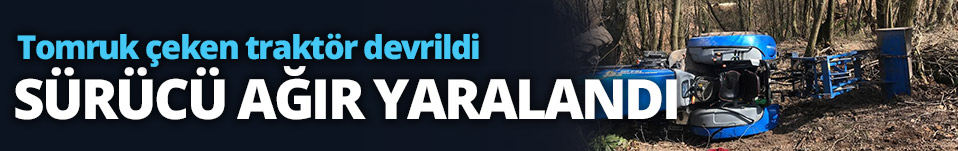 Tomruk çeken traktör devrildi, sürücü ağır yaralandı