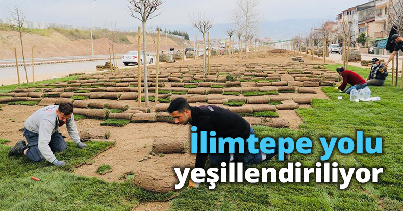 İlimtepe yolu yeşillendiriliyor