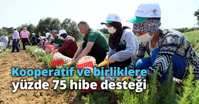 Kooperatif ve birliklere yüzde 75 hibe desteği