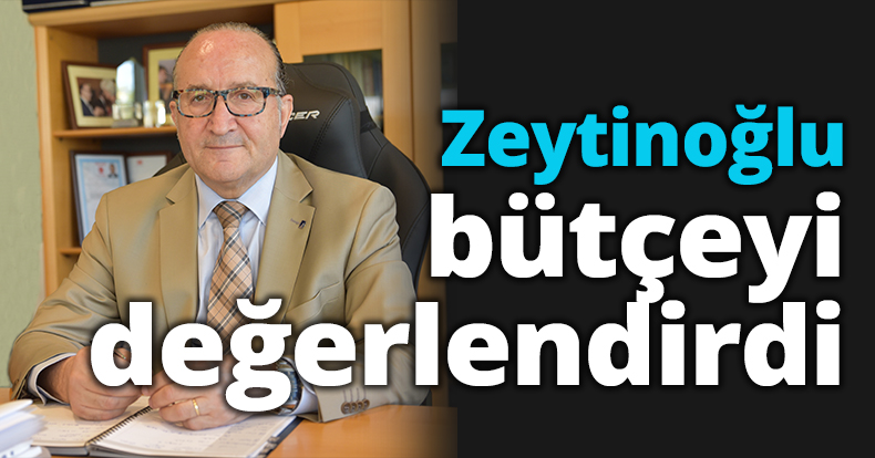 Zeytinoğlu bütçeyi değerlendirdi