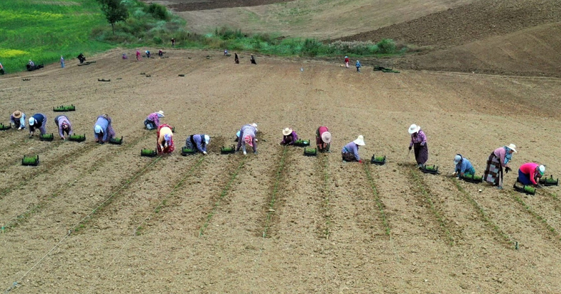 Kooperatif ve birliklere hibe desteği başvuruları 22 Nisan’da sona eriyor