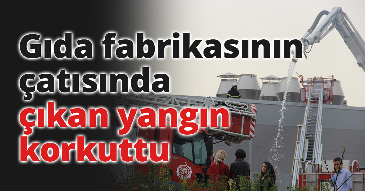 Gıda fabrikasının çatısında çıkan yangın korkuttu