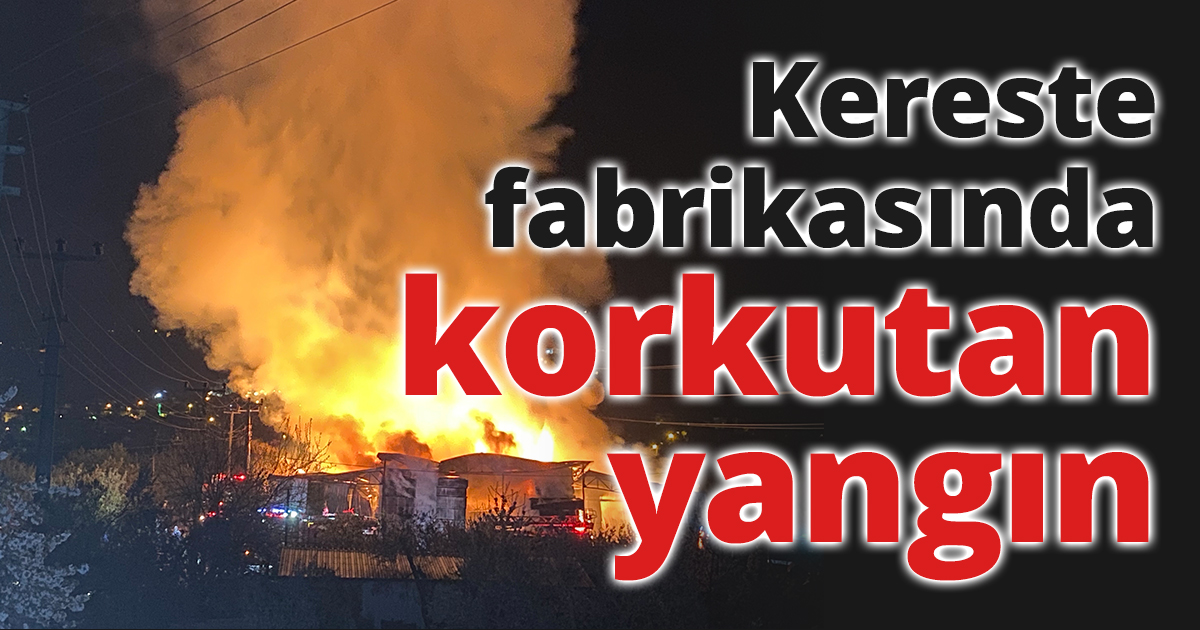 Kereste fabrikasında korkutan yangın