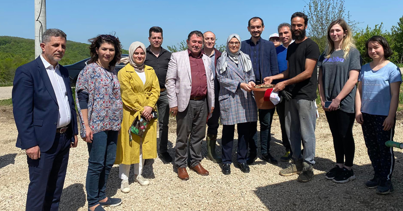 Katırcıoğu ve Güney Aronya ekti