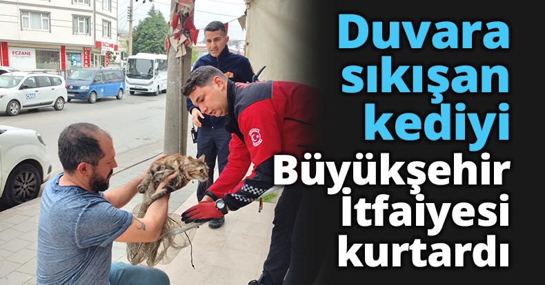 Duvara sıkışan kediyi Büyükşehir İtfaiyesi kurtardı