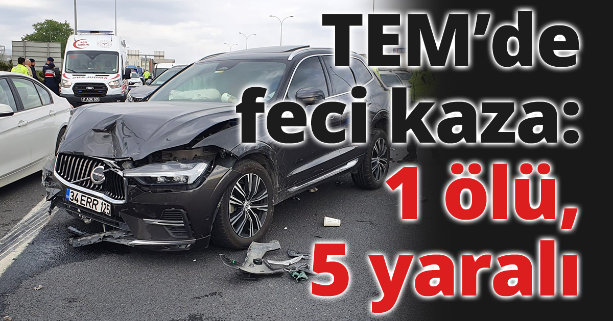 TEM’de feci kaza: 1 ölü, 5 yaralı