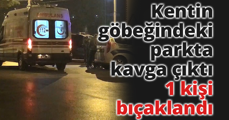 Kentin göbeğindeki parkta kavga çıktı, 1 kişi bıçaklandı