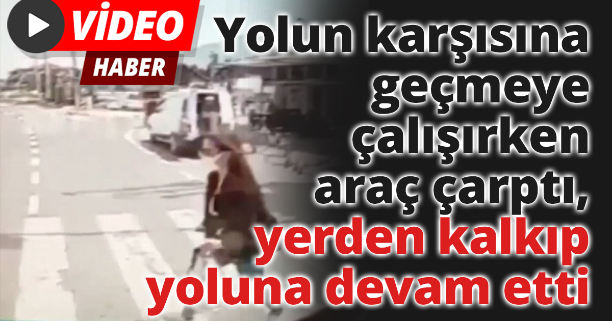 Yolun karşısına geçmeye çalışırken araç çarptı, yerden kalkıp yoluna devam etti