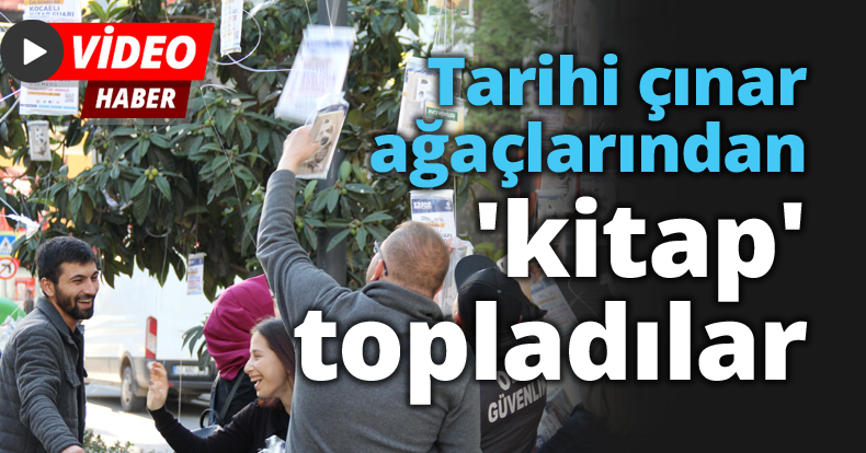 Tarihi çınar ağaçlarından 'kitap' topladılar
