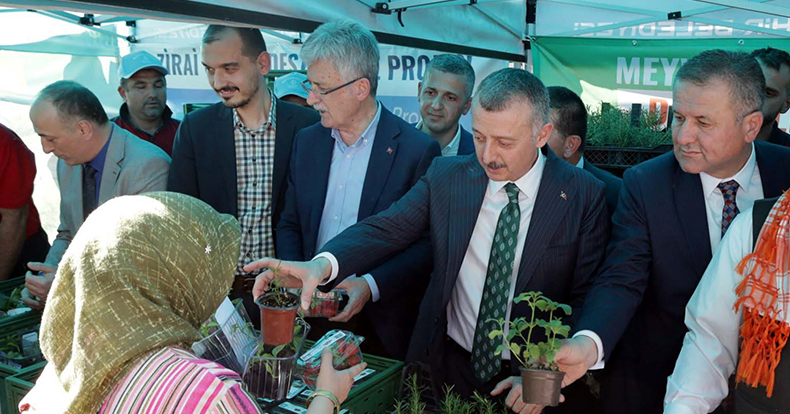 Vatandaşa 82 bin fide dağıtıldı