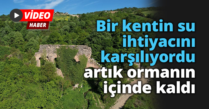Bir kentin su ihtiyacını karşılıyordu, artık ormanın içinde kaldı
