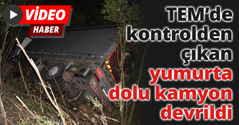 TEM’de kontrolden çıkan yumurta dolu kamyon devrildi