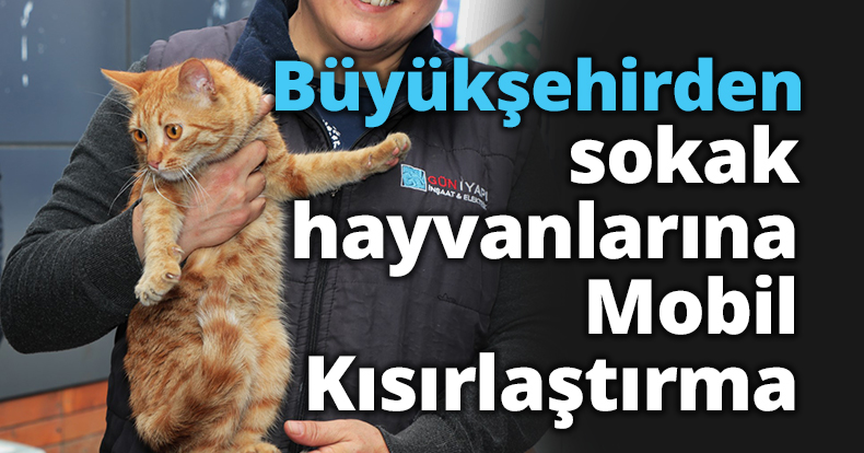 Büyükşehirden sokak hayvanlarına Mobil Kısırlaştırma