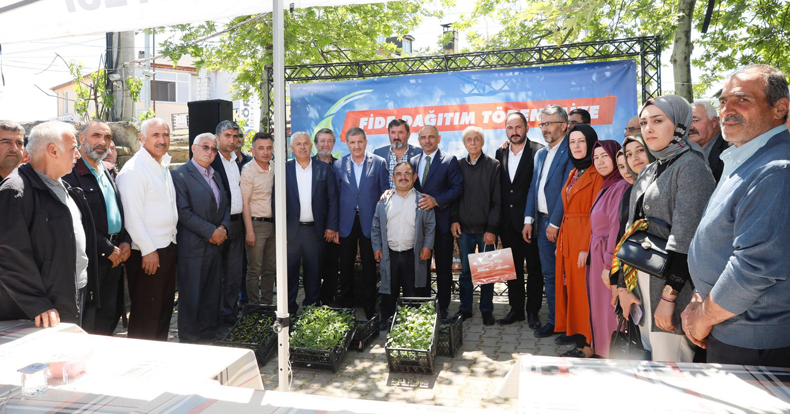 Körfez’de üreticilere 100 bin fide