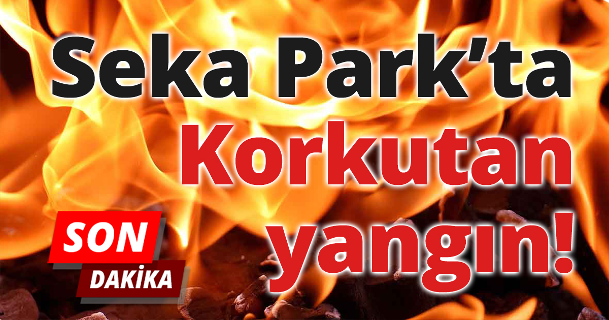 Seka Devlet Hastanesi arkasında korkutan yangın