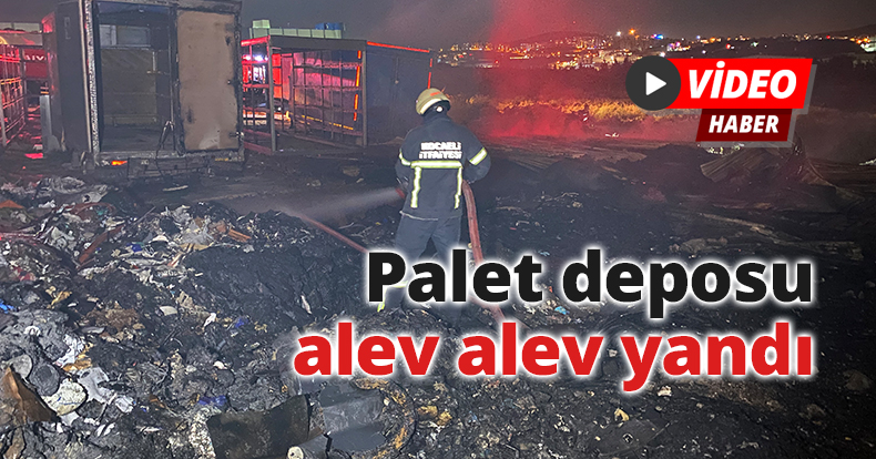 Palet deposu alev alev yandı