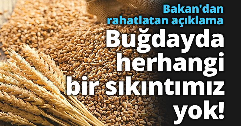 Bakan'dan rahatlatan açıklama: Buğdayda herhangi bir sıkıntımız yok