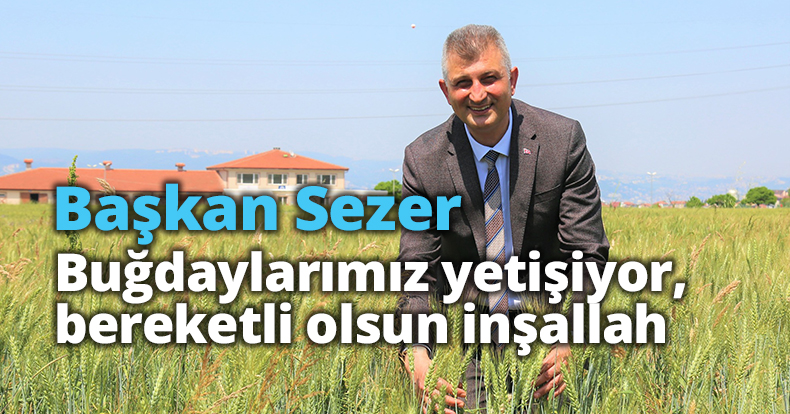 Başkan Sezer: “Buğdaylarımız yetişiyor, bereketli olsun inşallah”