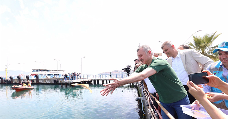 6 bin yavru balık İzmit Körfezi’ne salındı