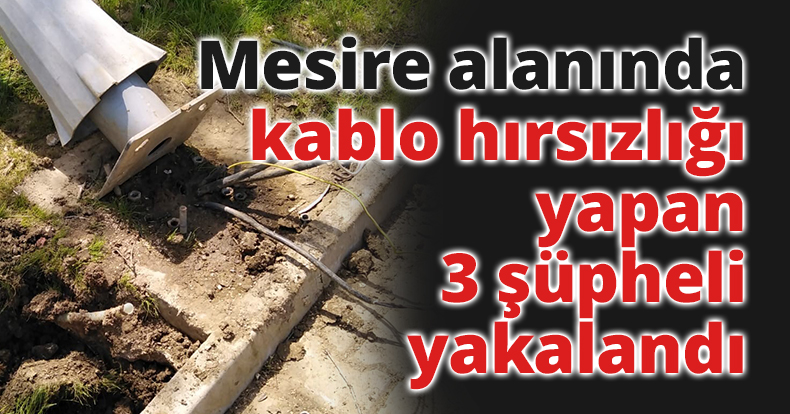 Mesire alanında kablo hırsızlığı yapan 3 şüpheli yakalandı