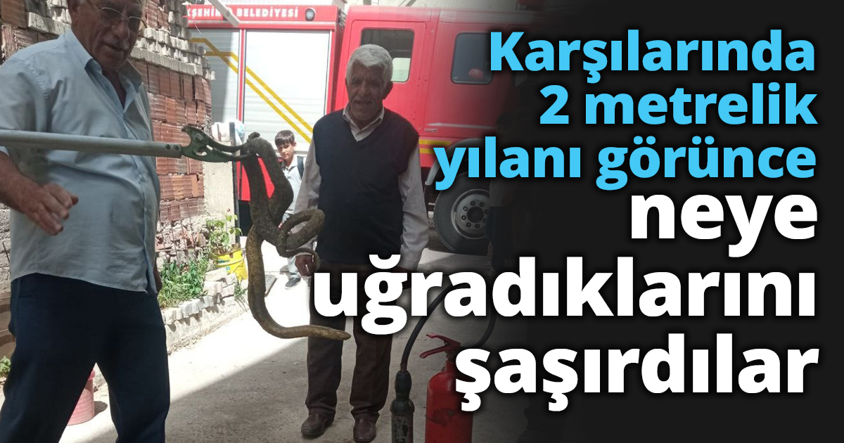 Karşılarında 2 metrelik yılanı görünce neye uğradıklarını şaşırdılar