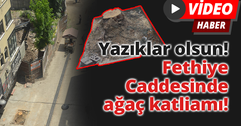 Yazıklar olsun! Fethiye Caddesinde ağaç katliamı!
