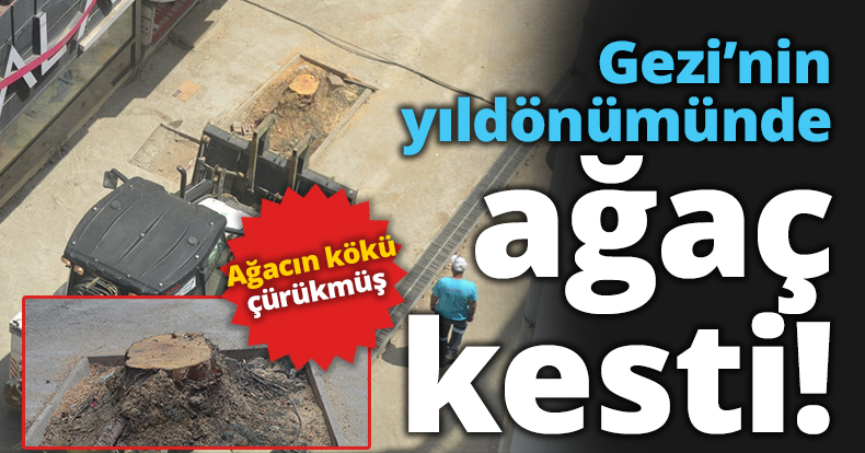 Gezi’nin yıldönümünde ağaç kesti!