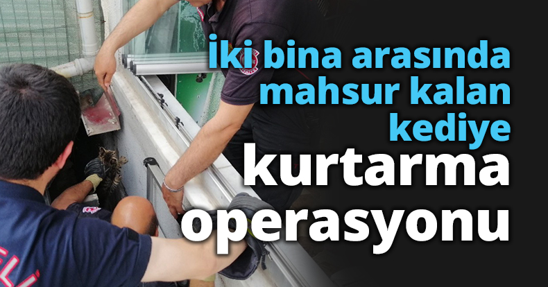 İki bina arasında mahsur kalan kediye itfaiyeden kurtarma operasyonu