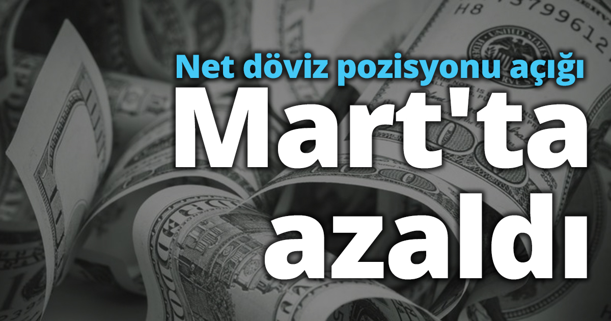 Net döviz pozisyonu açığı Mart'ta azaldı