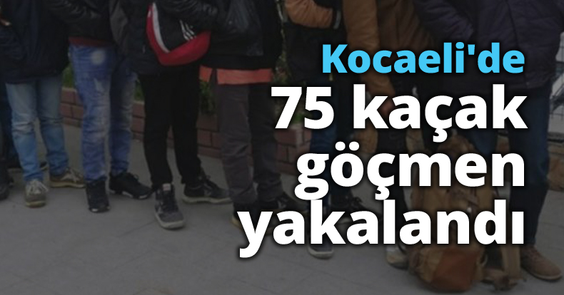 Kocaeli'de 75 kaçak göçmen yakalandı