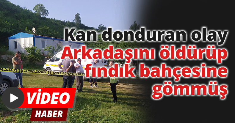 Kan donduran olay: Arkadaşını öldürüp, fındık bahçesine gömmüş
