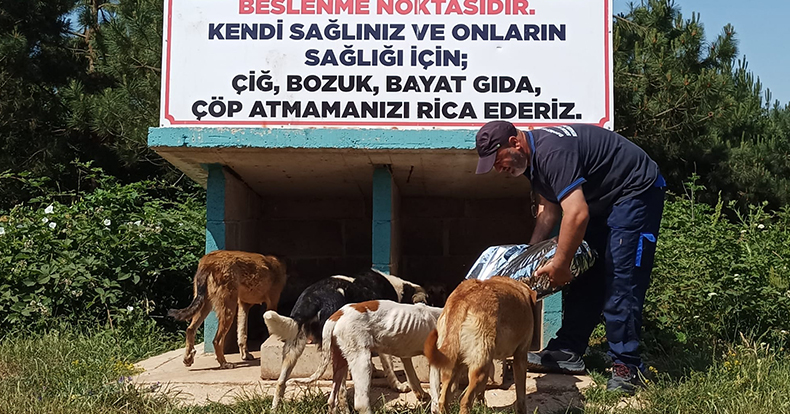 Can Dostlarımızın Her Zaman Yanındayız