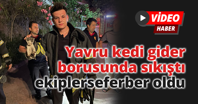 Yavru kedi gider borusunda sıkıştı, ekipler seferber oldu